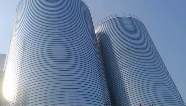 会山镇2座混凝土高架卷板仓